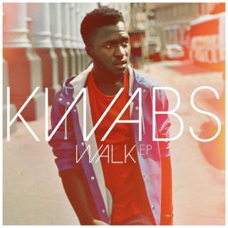 cover: Walk, Kwabs, Gesang, Gitarre, Klavier