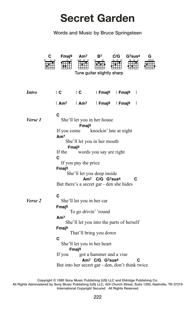 Produktgalerie: Seite 1 von 1 Secret Garden, Bruce Springsteen, Gitarre