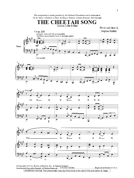 Product picture to: The Cheetah Song