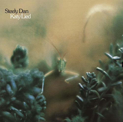 cover: Any World (That I'm Welcome To), Steely Dan