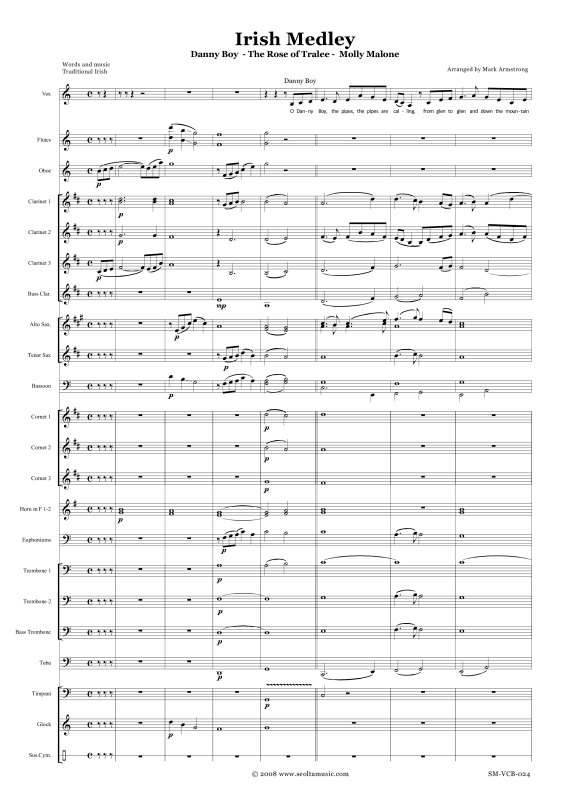 Produktbild zu: Irish medley for voice and concert bandTraditional
