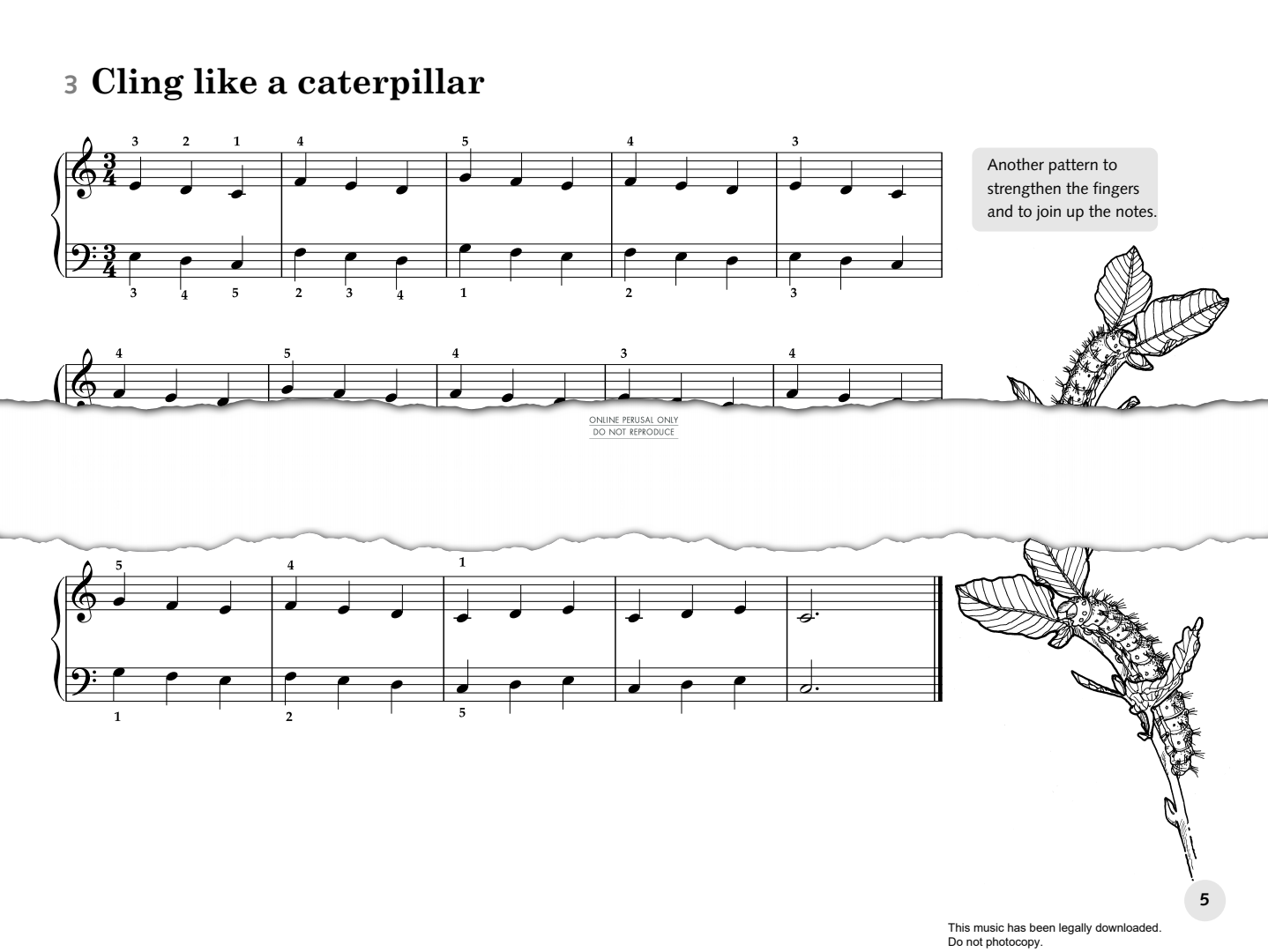 Product picture to:  Cling Like A Caterpillar - Fanny Waterman