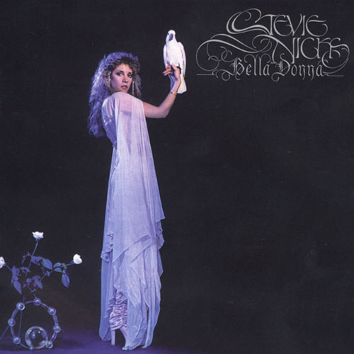 cover: Leather And Lace, Stevie Nicks