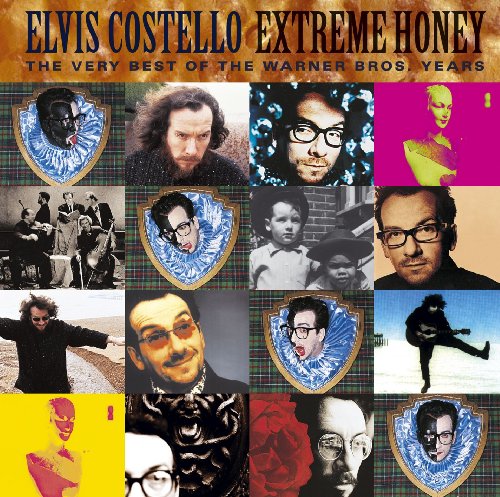 cover: I Want To Vanish, Elvis Costello, Gesang, Gitarre, Klavier