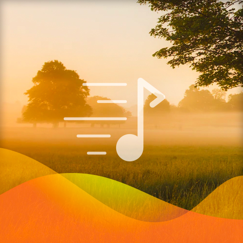 cover: Little Bird, Little Bird, Traditional, Gesang, Gitarre, Klavier