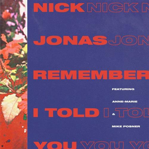 cover: Remember I Told You (featuring Anne-Marie), Nick Jonas, Gesang, Gitarre, Klavier