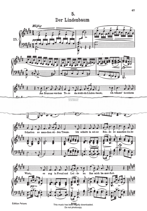 Product picture to: Der Lindenbaum (from 'Winterreise Op.89 D911')