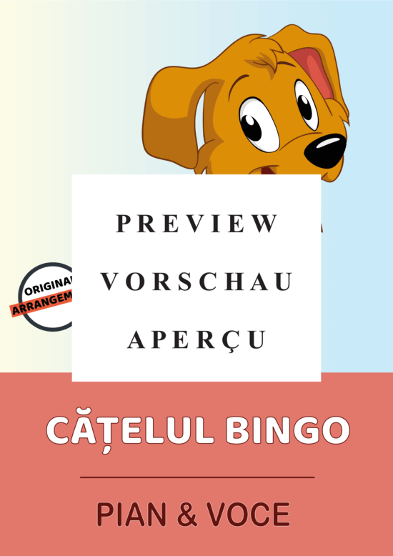 gallery: Catelul BINGO , , (Gesang + Klavier, Gitarre)