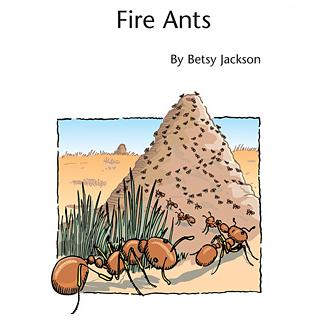 cover: Fire Ants, Betsy Jackson, Klavier