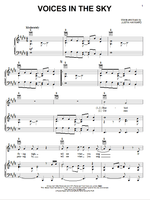 Produktbild zu: Voices In The Sky