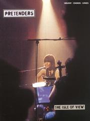 cover: I Hurt You, The Pretenders, Gesang, Gitarre