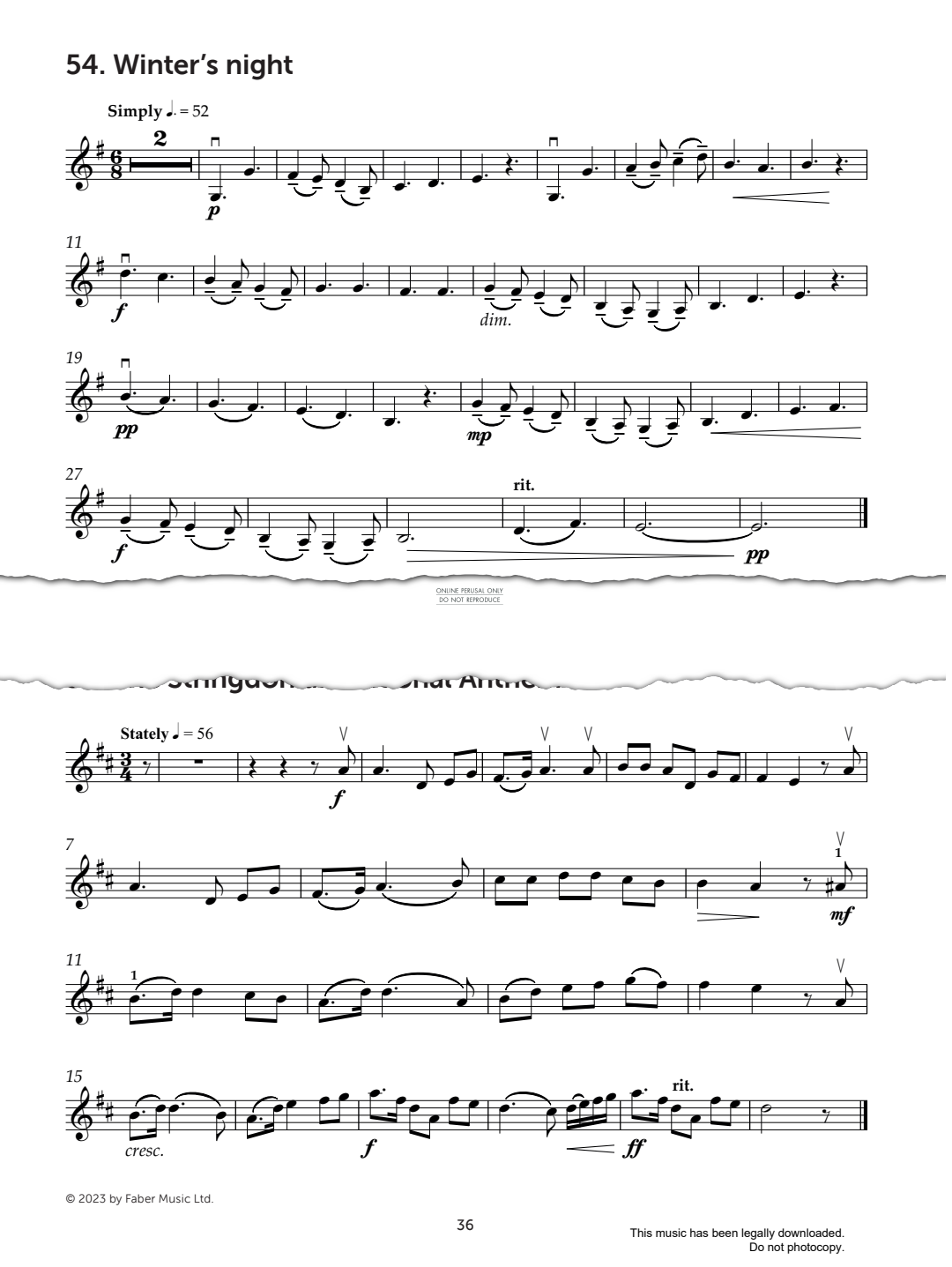 gallery: The Stringdonian National Anthem, Mark Wilson, Klavier, Violine