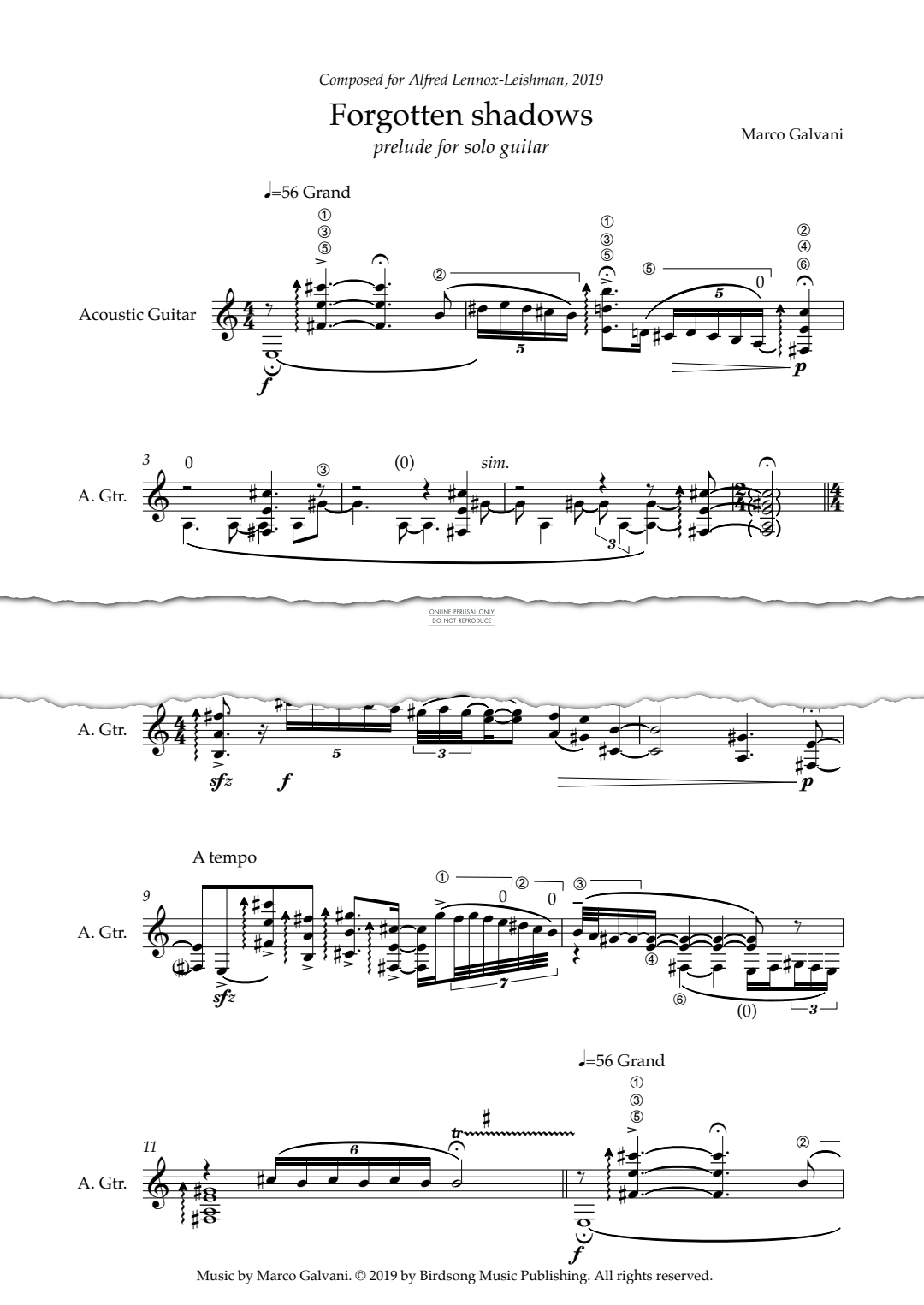 Produktgalerie: Seite 1 von 1 Forgotten Shadows, Marco Galvani, Gitarre