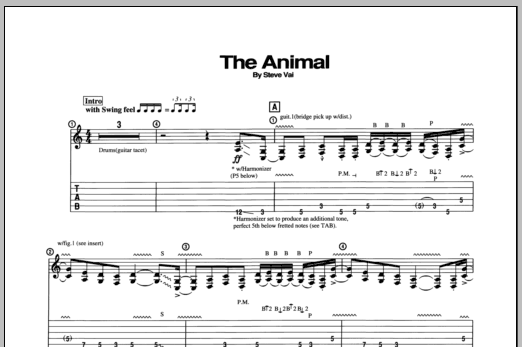 Produktbild zu: The Animal