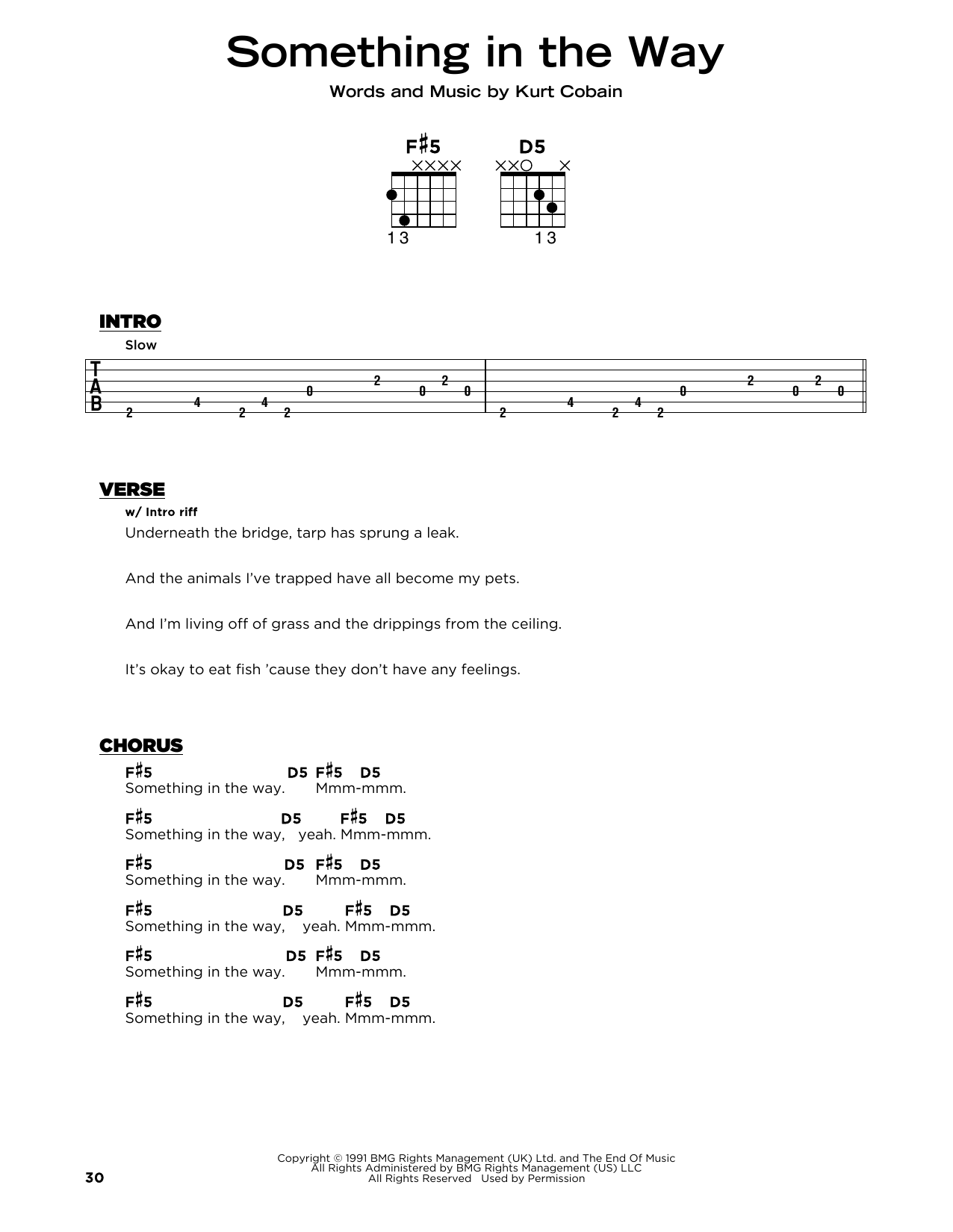 Produktgalerie: Seite 1 von 1 Something In The Way, Nirvana, Gitarre