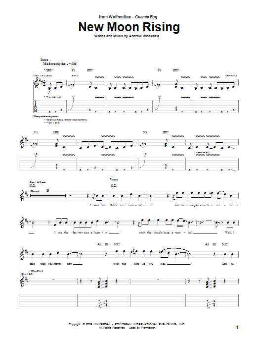 Produktgalerie: Seite 1 von 1 New Moon Rising, Wolfmother, Gitarre