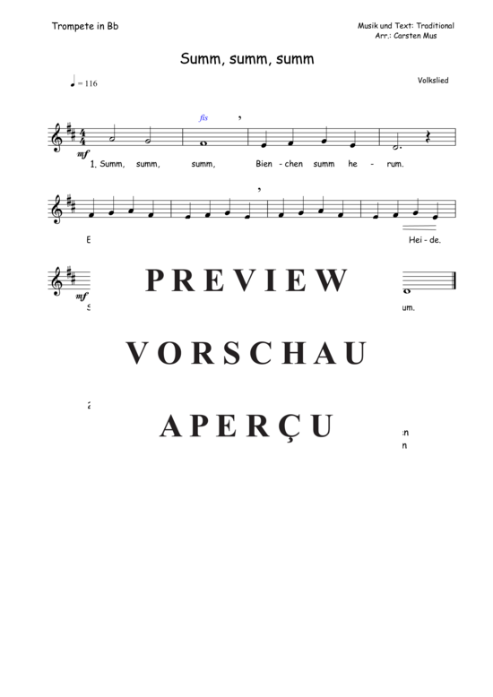 Produktbild zu: Summ, summ, summ (D - Dur) Traditional