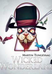 cover: Wicked Wonderland, Martin Tungevaad, Gesang, Gitarre, Klavier