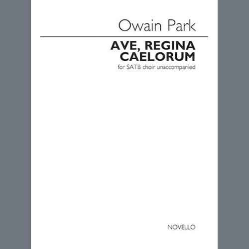 Produktbild zu: Ave Regina Caelorum