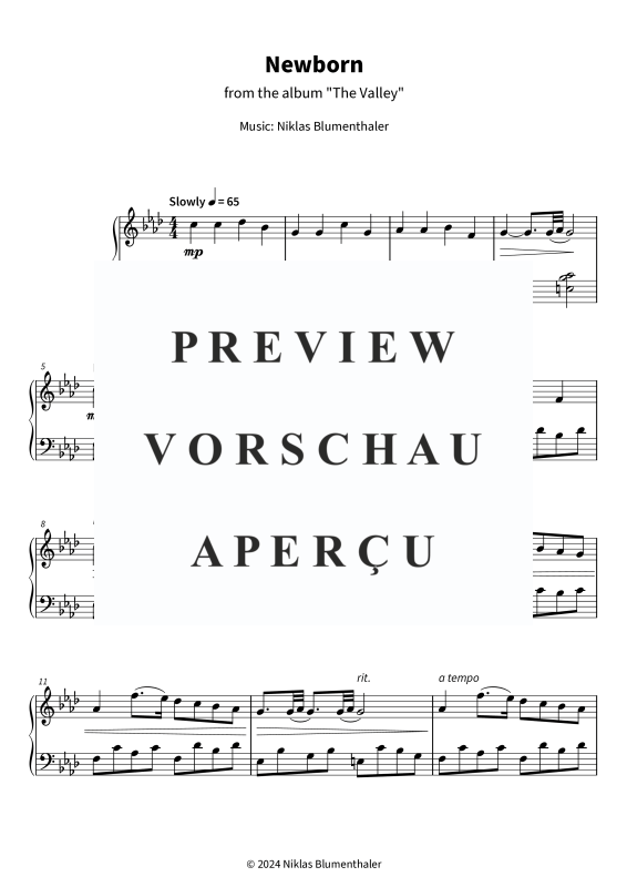 gallery: Newborn - from the album The Valley, Niklas Blumenthaler, (Klavier Solo)