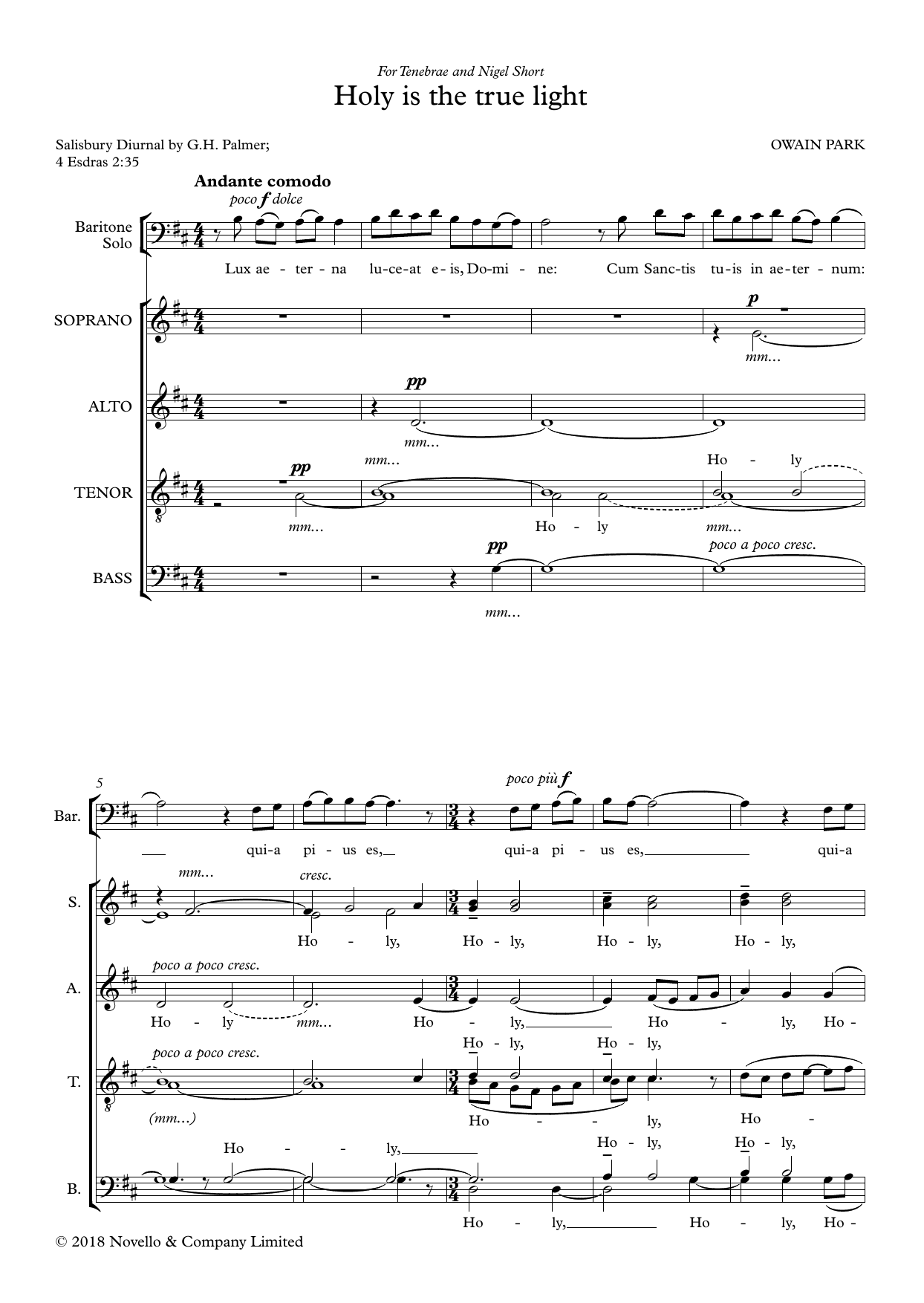 Produktbild zu:  Holy is the true light - Owain Park