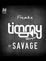 cover: Freaks, Timmy Trumpet
