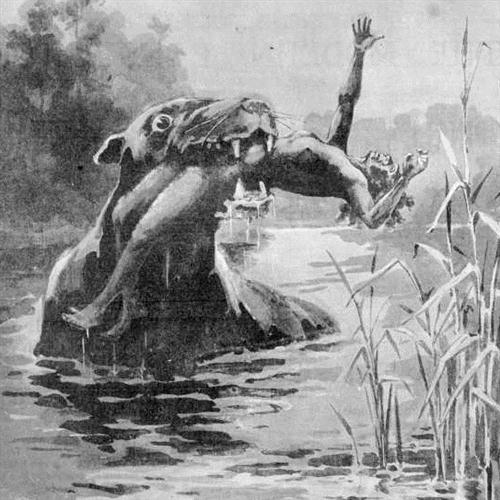 Produktbild zu: The Bunyip Song