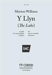 Produktbild zu: Y Llyn (The Lake)