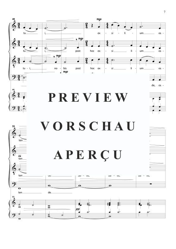 Produktgalerie: Seite 8 von 11 Salve Regina, , Gemischter Chor SSATB