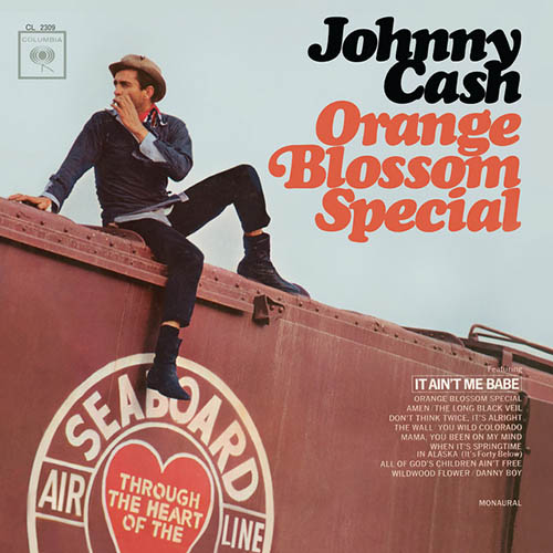 cover: Orange Blossom Special, Ervin T. Rouse, Johnny Cash, Gitarre