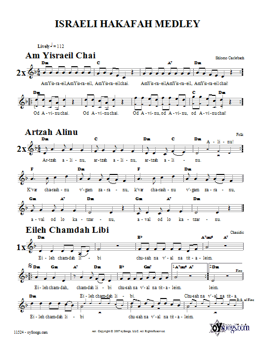 Product gallery: Page 1 of 1 Israeli Hakafah Medley, Rabbi Shlomo Carlebach