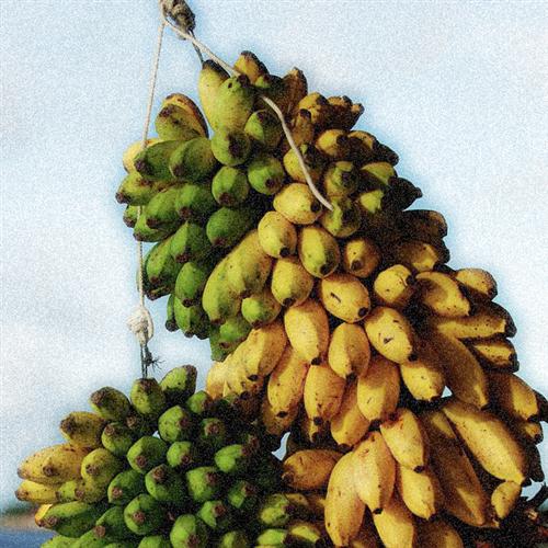 cover: Elle S'appelle Banana, Rene Hatchy, Gesang, Klavier