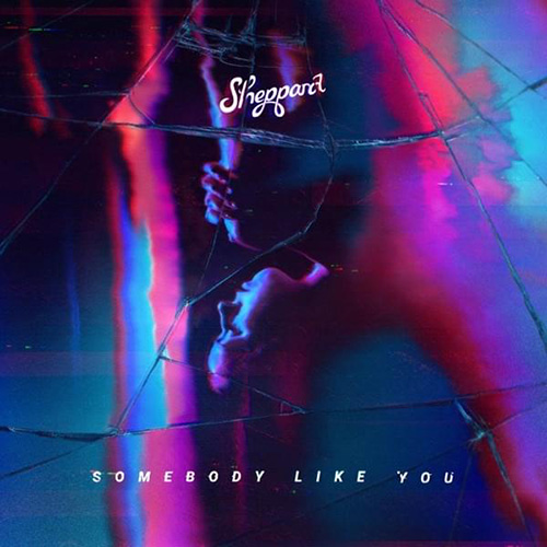 cover: Somebody Like You, Sheppard