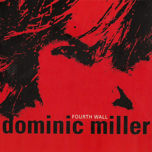cover: Iguazu, Dominic Miller, Gitarre