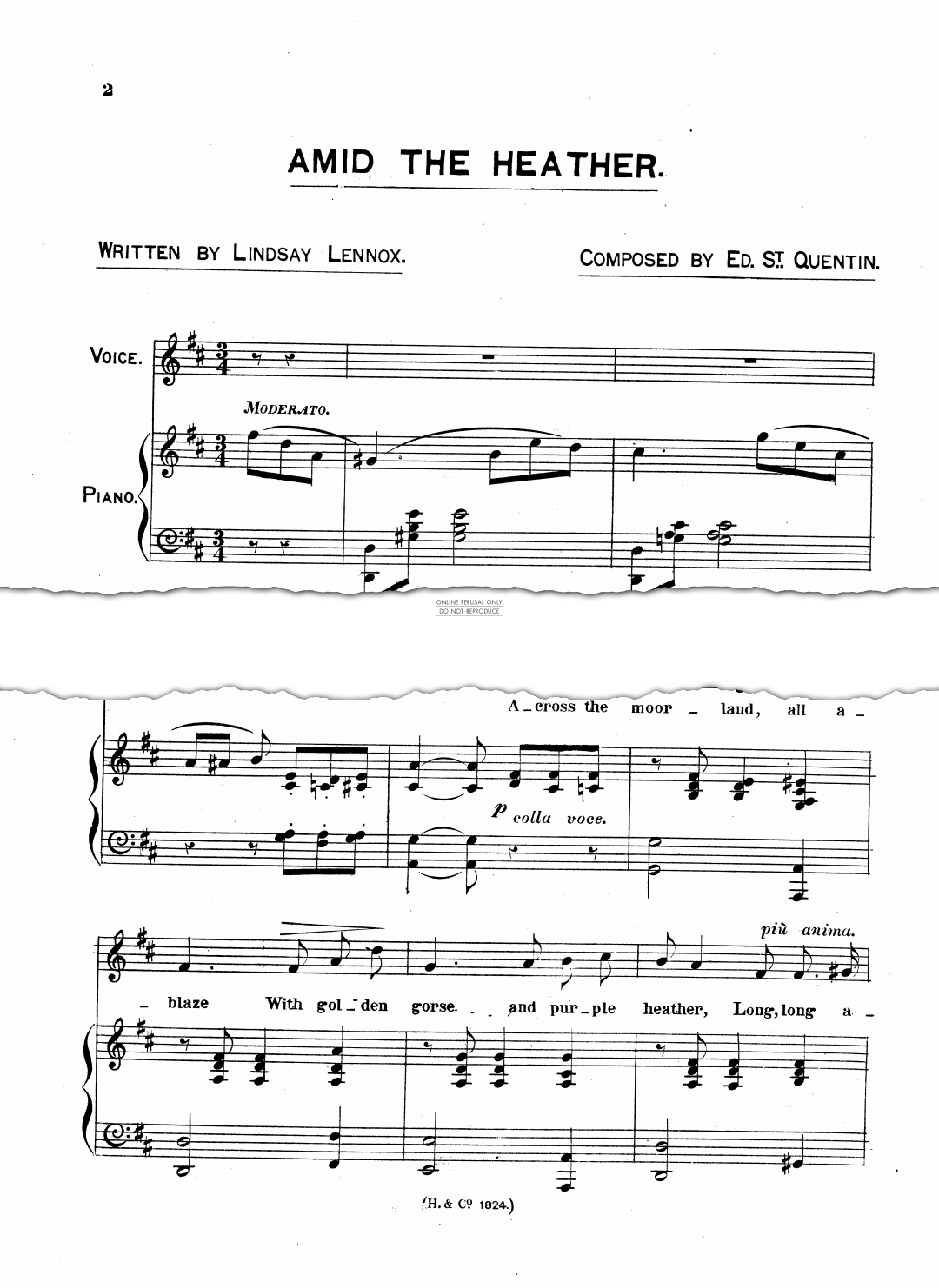 Produktgalerie: Seite 1 von 1 Amid The Heather, Edward St. Quentin, Gesang, Klavier