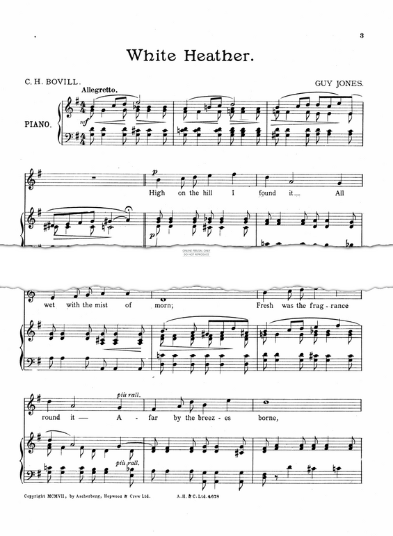 Produktgalerie: Seite 1 von 1 A Bunch Of White Heather, Guy Jones, Gesang, Klavier