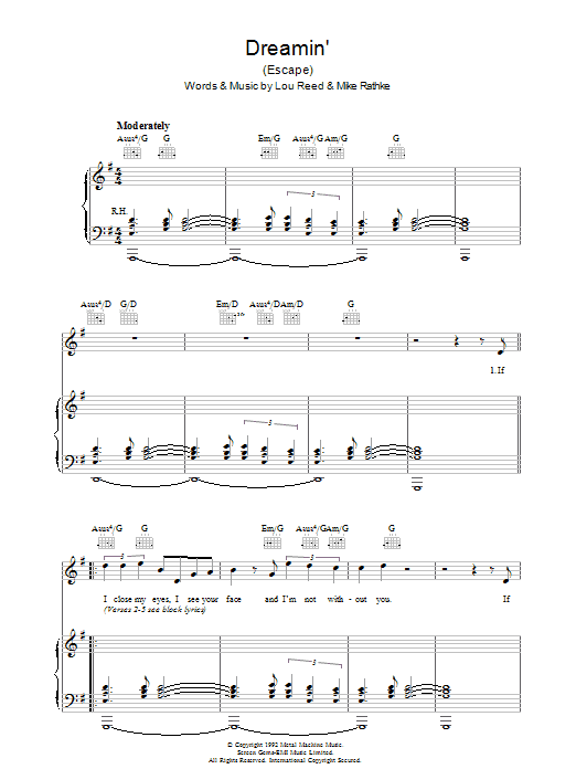 Produktgalerie: Seite 1 von 1 Dreamin', Lou Reed, Gesang, Gitarre, Klavier