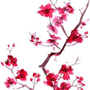 Product picture to: Sakura (Cherry Blossoms)