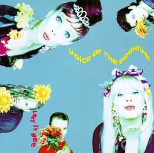 cover: I Say Nothing, Voice Of The Beehive, Gitarre