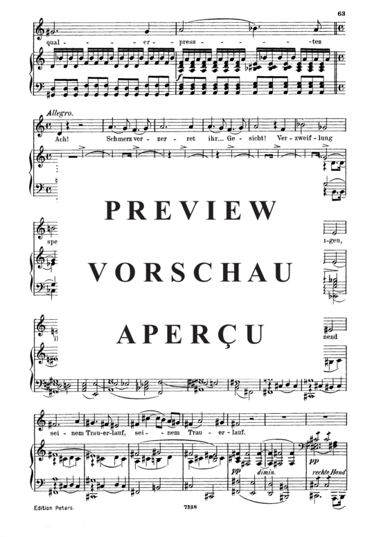 Product gallery: Page 4 of 6 Gruppe aus dem Tartarus D.583, , Medium Voice and Piano