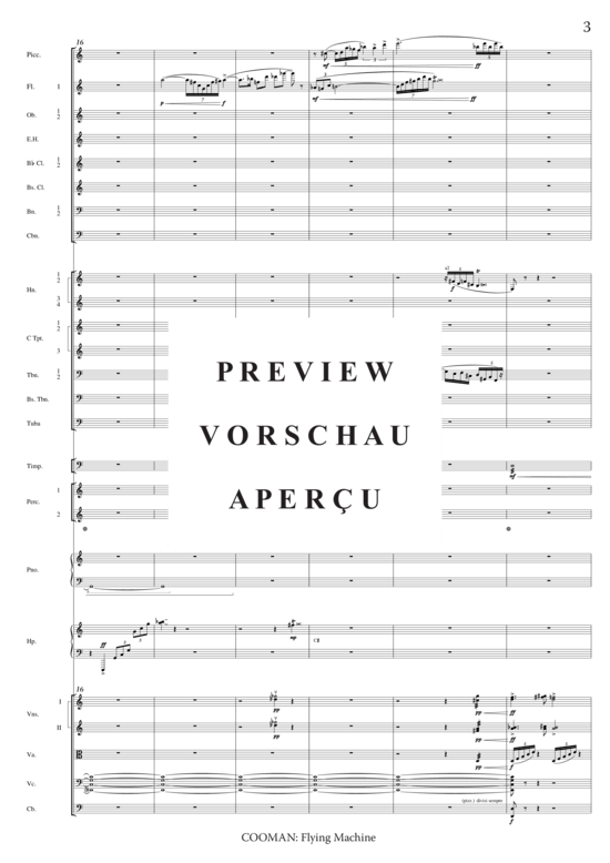 Product gallery: Page 8 of 21 Flying Machine , , (orchestra)