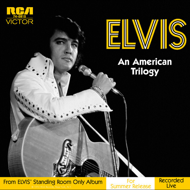 cover: An American Trilogy, Elvis Presley, Gitarre