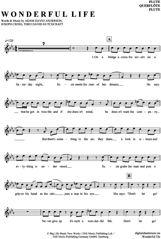 Product gallery: Page 1 of 4 Wonderful life , Hurts, (transverse flute)