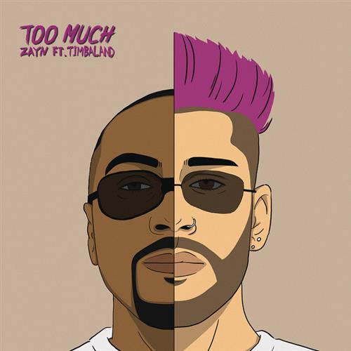 cover: Too Much (featuring Timbaland), Zayn