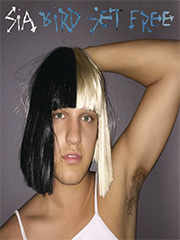 cover: Bird Set Free, Sia