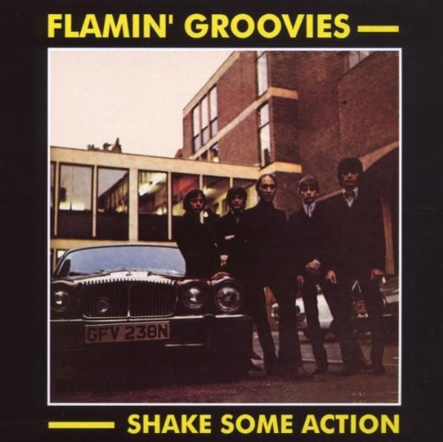 cover: Shake Some Action, The Flamin' Groovies, Gitarre