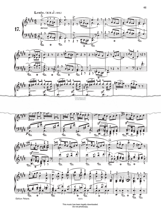 Product picture to: Nocturne No.17 in E Major