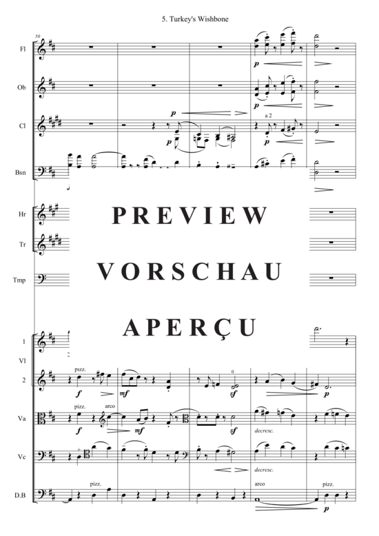 gallery: Turkey´s Wishbone (Kammer Orchester) , , (Bläser, Streicher + Pauken)