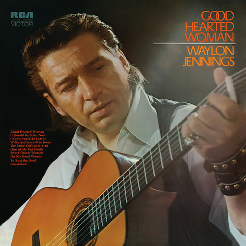 cover: A Good Hearted Woman, Waylon Jennings & Willie Nelson, Gitarre