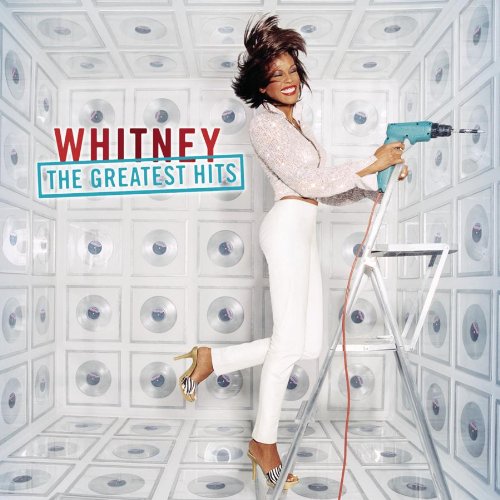 cover: Didn't We Almost Have It All, Whitney Houston